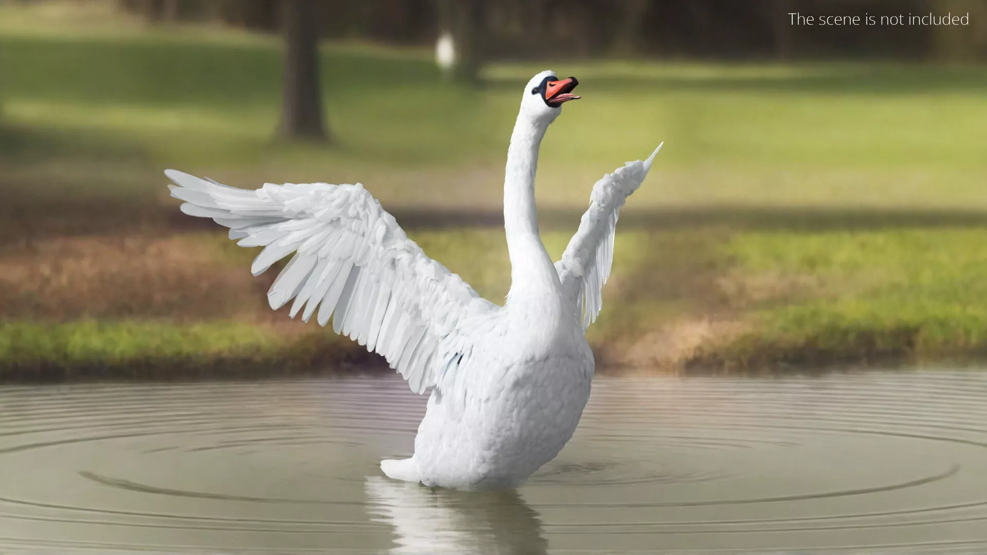 White Swan Swimming Animated Rigged 3D model