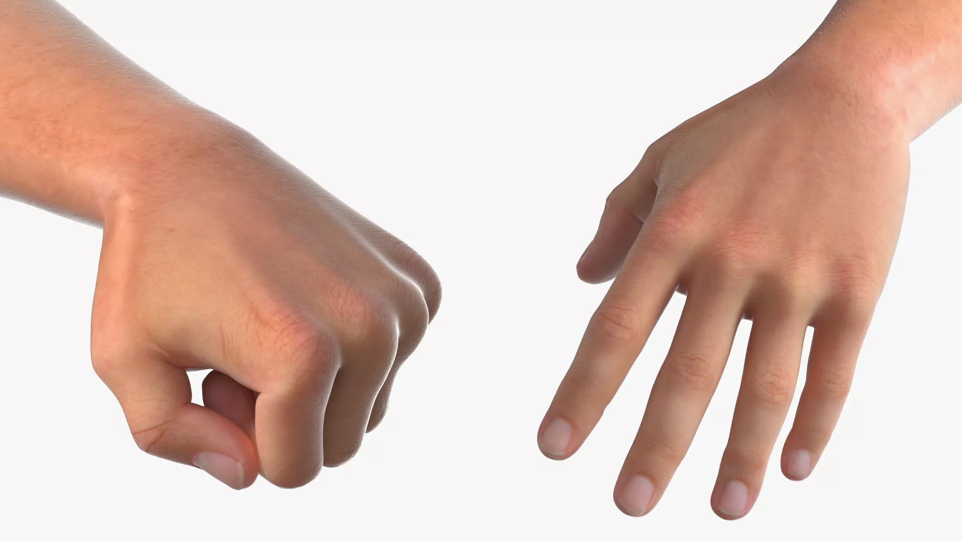 Realistic Male Arm Pair Rigged for Cinema 4D 3D model