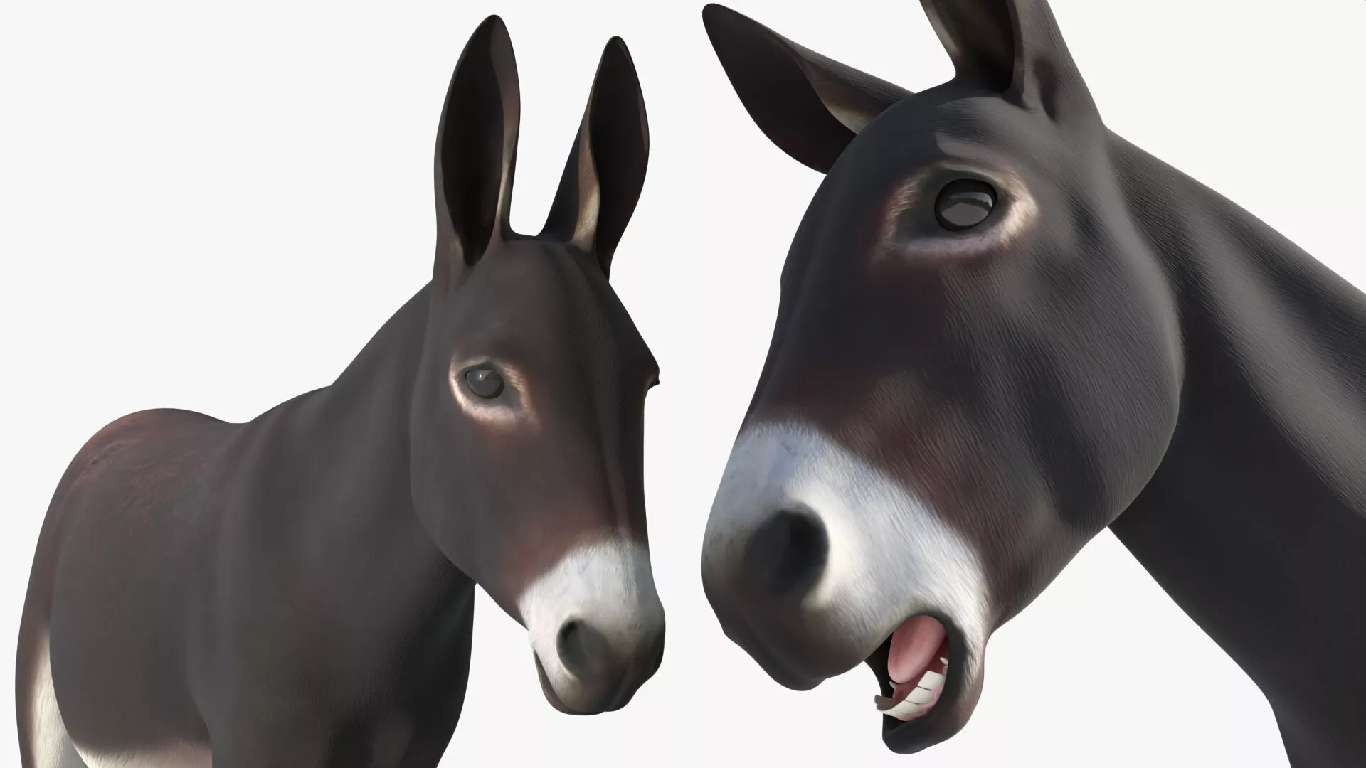 Domestic Donkey Rigged for Blender 3D model