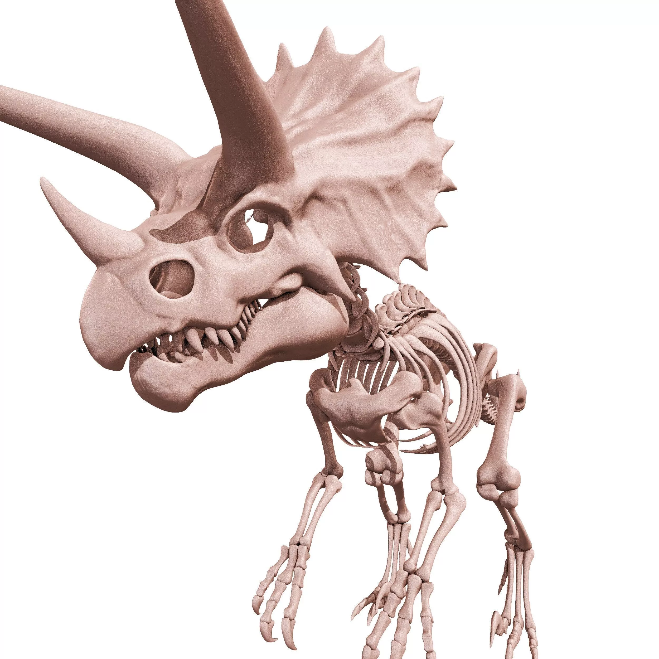 Mutazore Ultimasaurus suqelette complet 3D print model