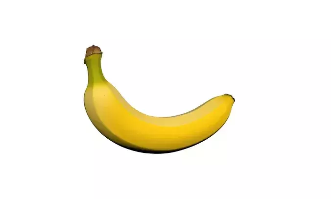 Banana Tropical Fruit Food 3D model 4