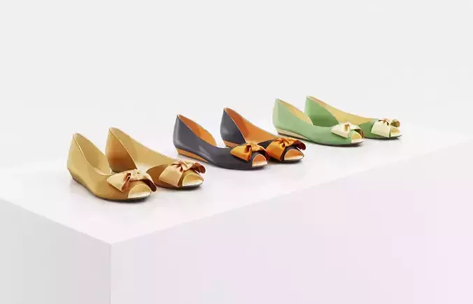 Woman ballet slippers