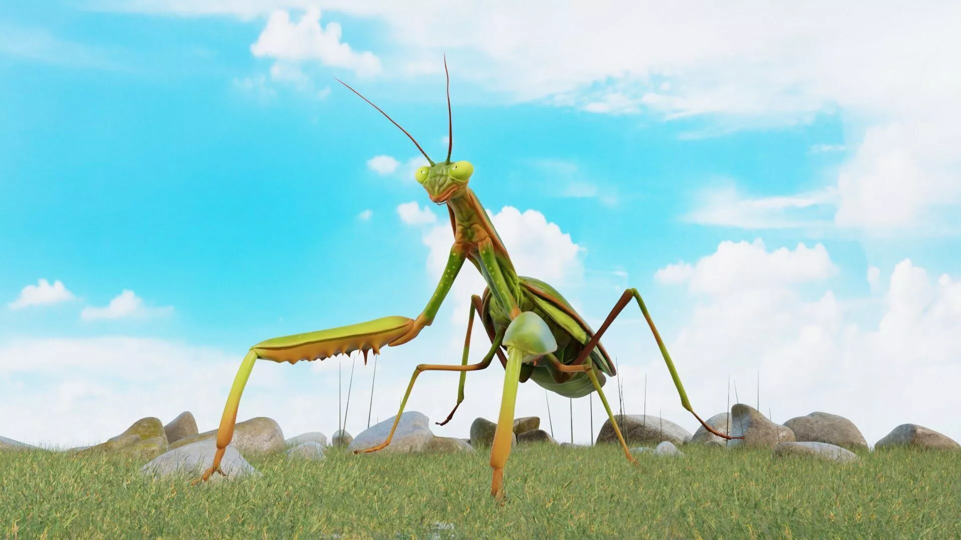 Realistic Praying Mantis Insect Low-poly 3D model