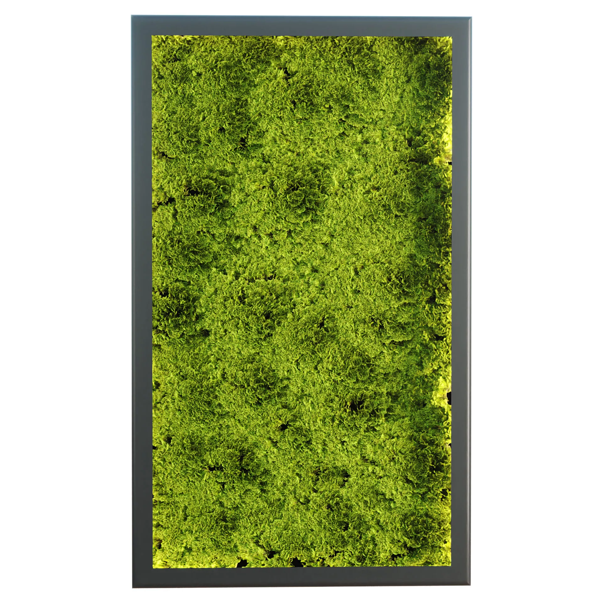 Green Wall Moss Vol 419 for Interior 3D model