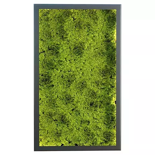 Green Wall Moss Vol 419 for Interior