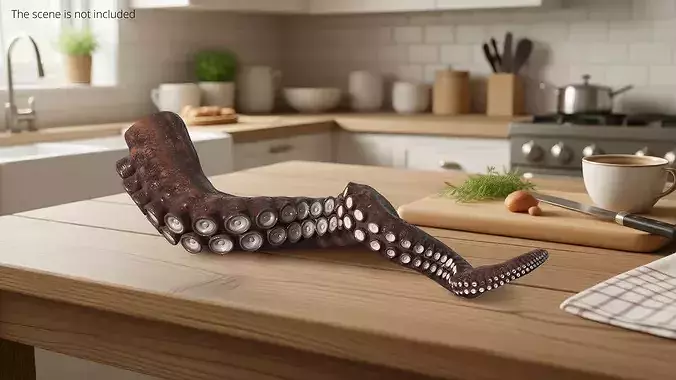 Natural Octopus Tentacle Marine Brown 3D model