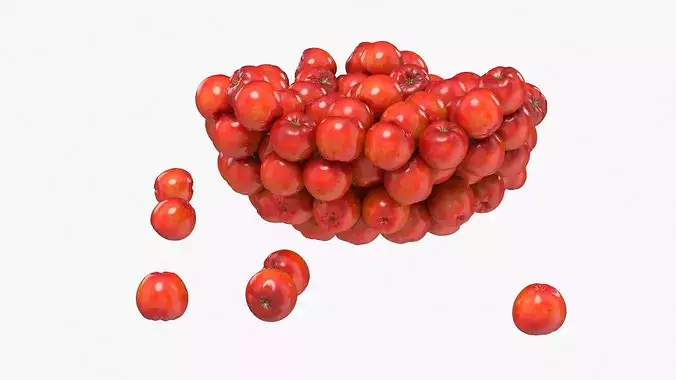 Acerola Fruit with Wooden Bowl Red 3D model 7