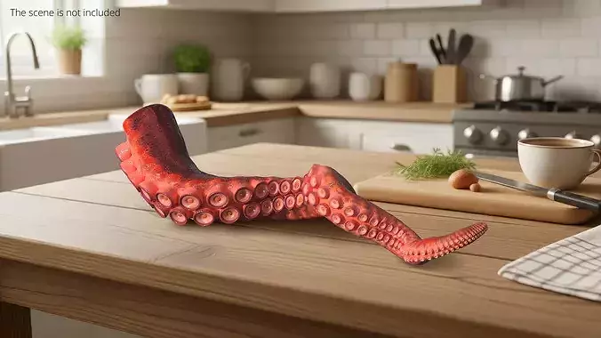Octopus Arm Marine Animal Orange 3D model 2
