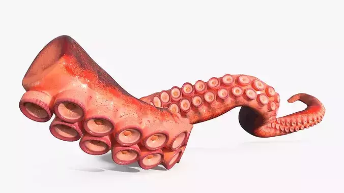 Octopus Arm Marine Animal Orange 3D model 3