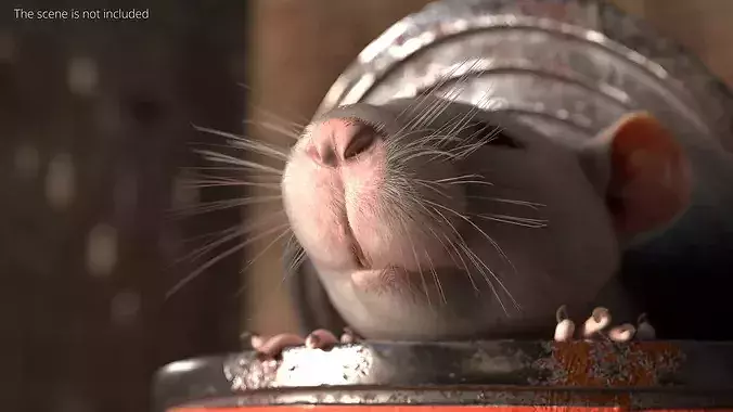 Rusty Food Can with Small Rat For Blender 3D model 3