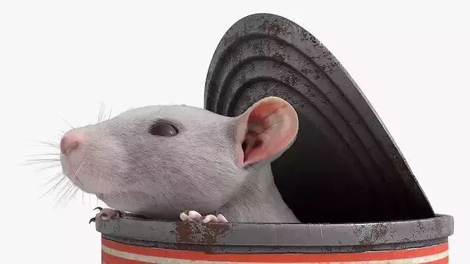 Rusty Food Can with Small Rat For Blender 3D model