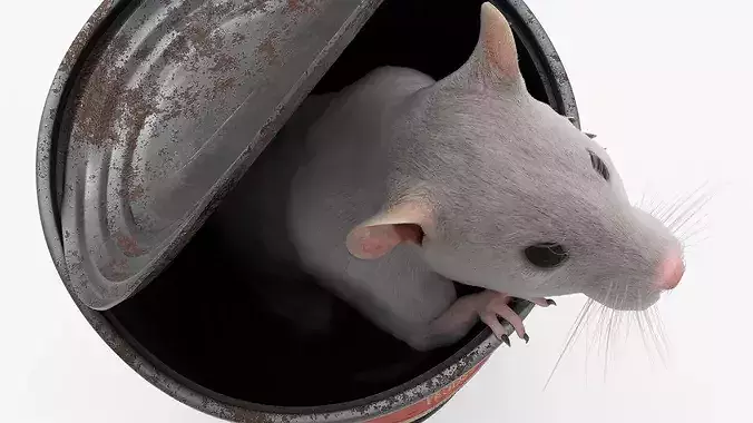Rusty Food Can with Small Rat For Blender 3D model 6