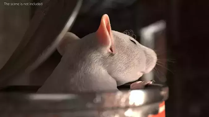 Rusty Food Can with Small Rat For Blender 3D model 4