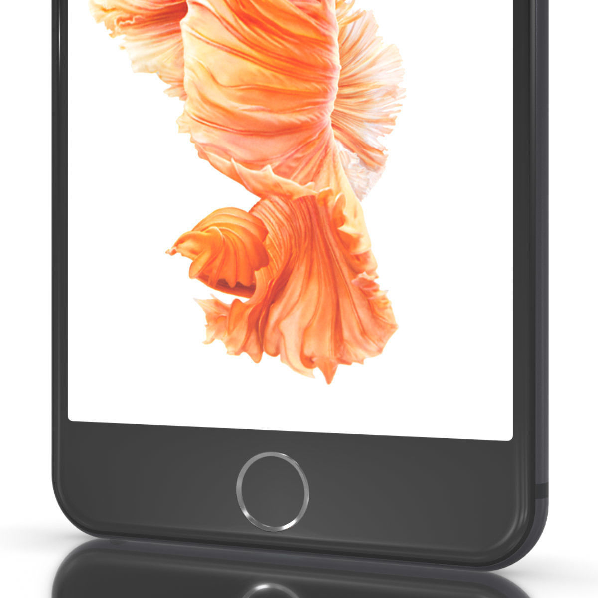 Apple iPhone 6S Plus for Element 3D 3D model_14