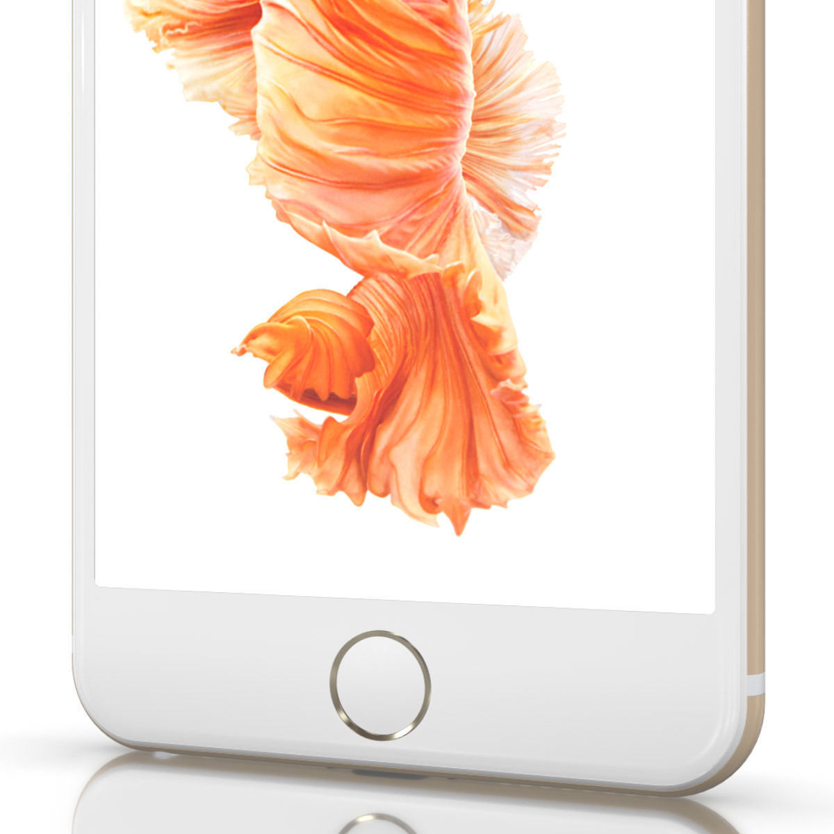 Apple iPhone 6S Plus for Element 3D 3D model_6