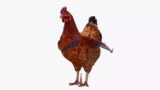 Chicken Rigged For Blender 3D model 4