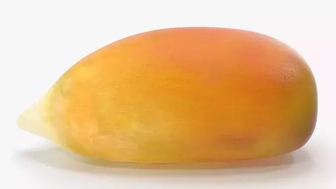 Corn Seed Kernel Food Single 3D model 5