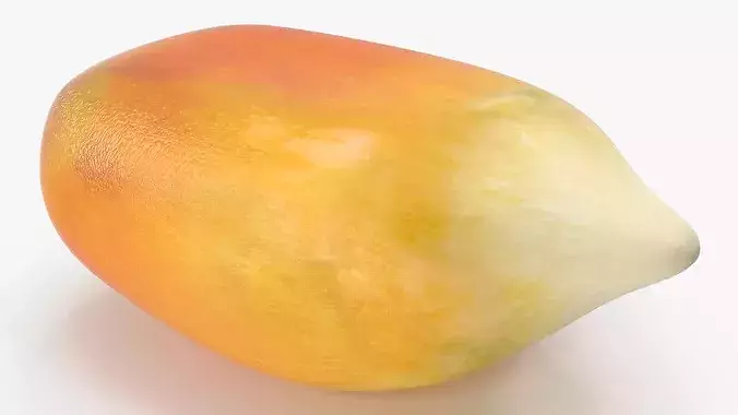 Corn Seed Kernel Food Single 3D model 4