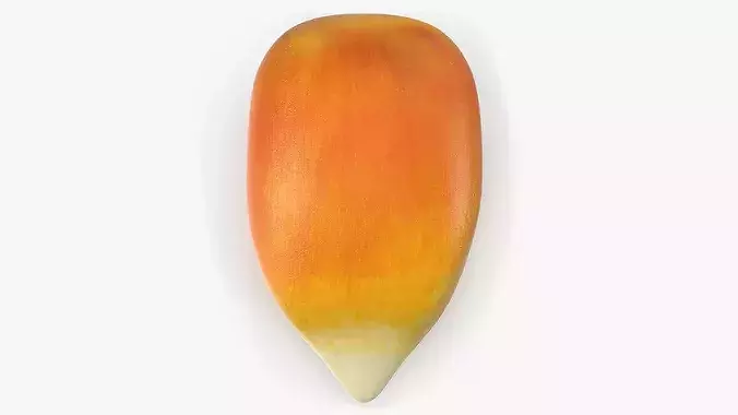 Corn Seed Kernel Food Single 3D model