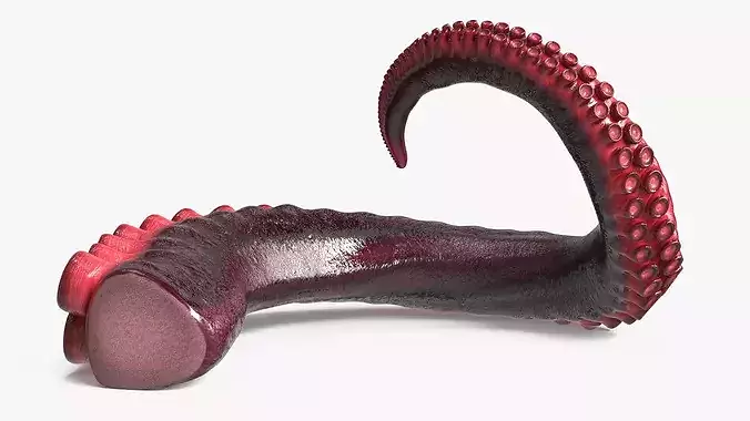 Marine Octopus Tentacle with Suction Red Rigged 3D model 3