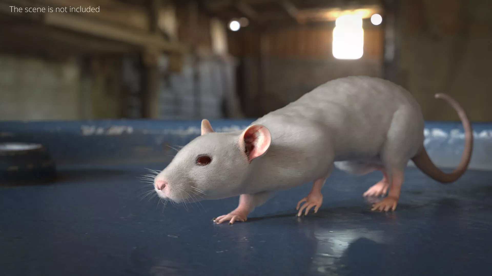 Rodent Rat Running Animated Rigged For Blender 3D model