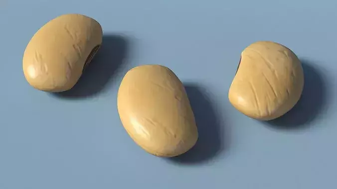 Golden Soybean Food 3D model 4