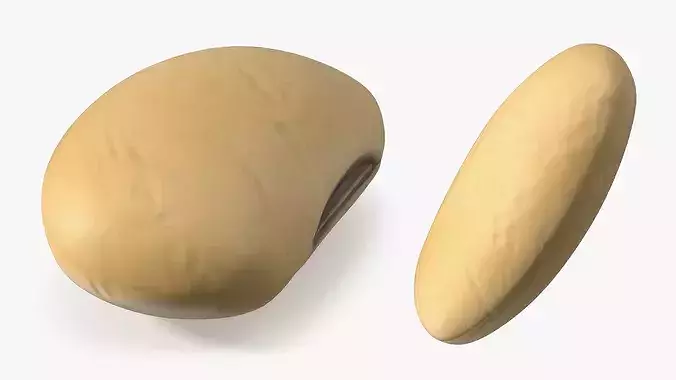 Golden Soybean Food 3D model 6