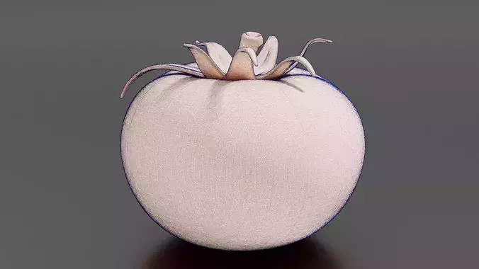 Food VegetablesTomato 3D print model 7