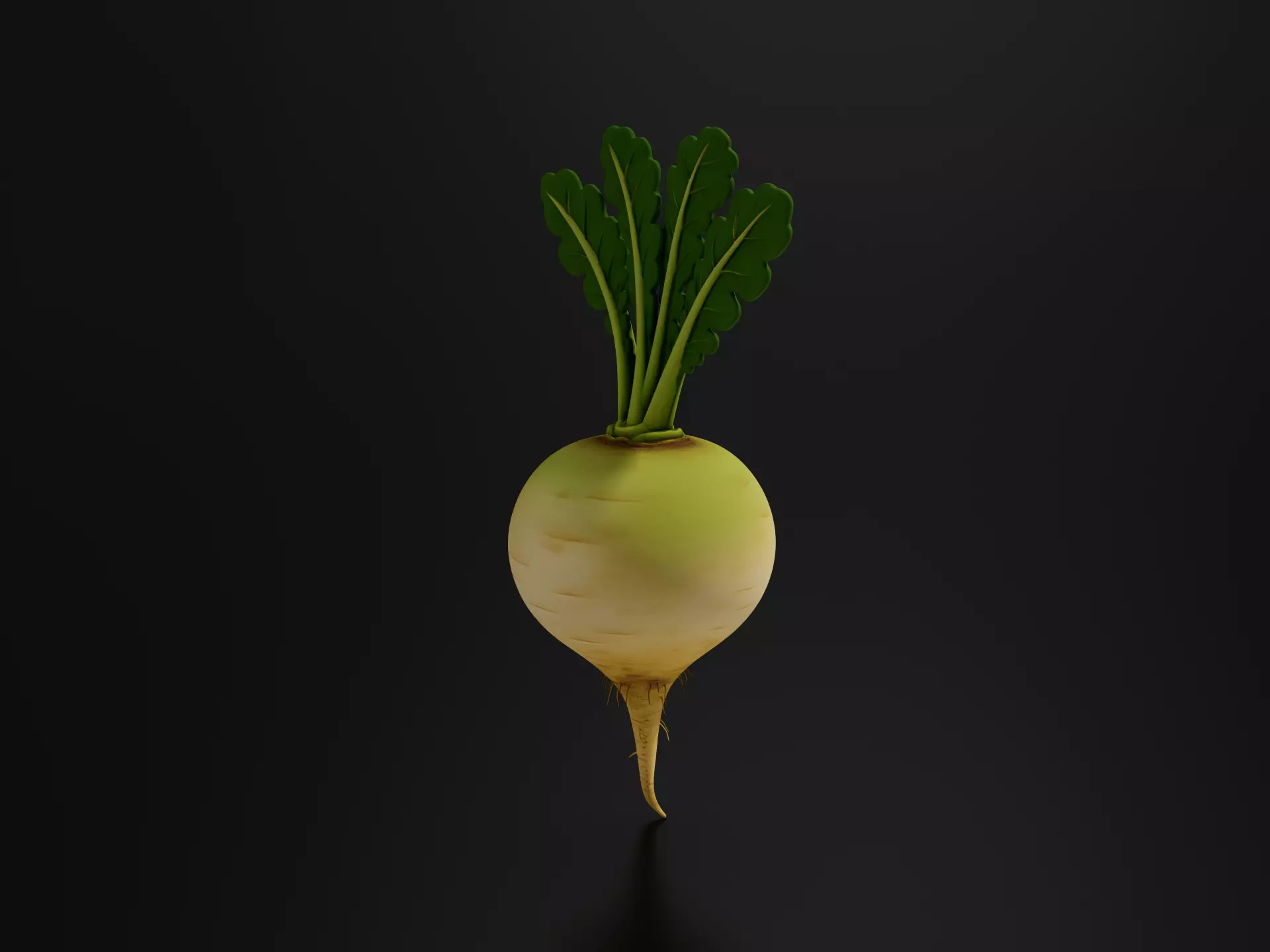 Food VegetablesTurnip 3D print model