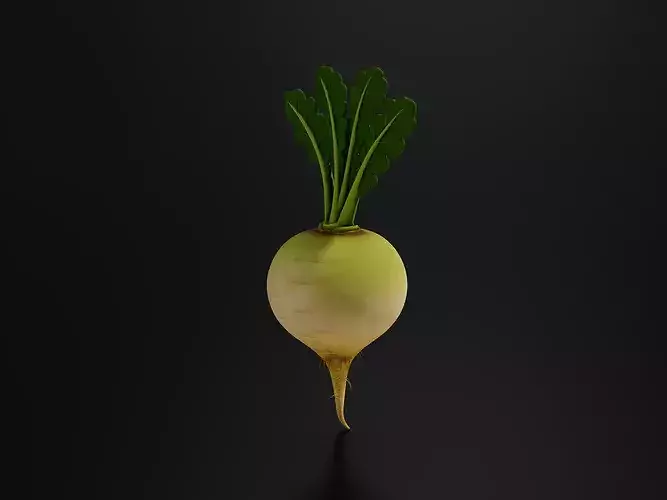 Food VegetablesTurnip