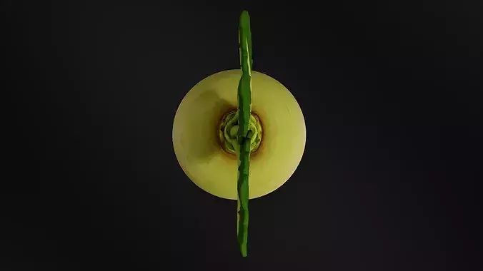 Food VegetablesTurnip 3D print model 6