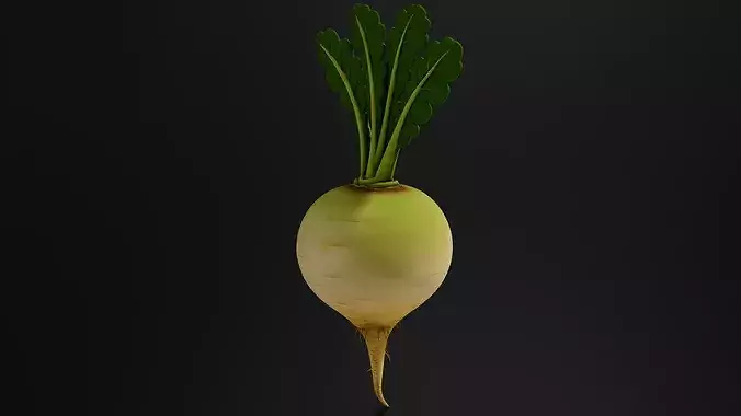 Food VegetablesTurnip 3D print model 2