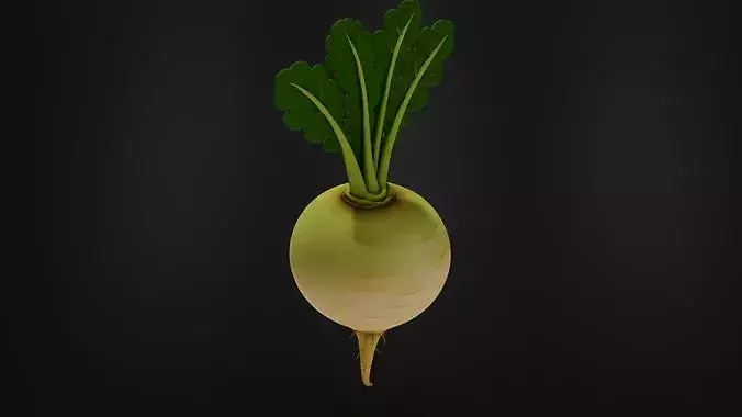 Food VegetablesTurnip 3D print model 5