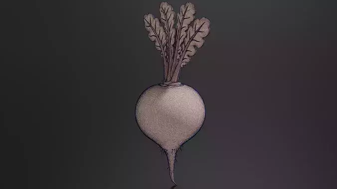 Food VegetablesTurnip 3D print model 7