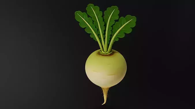 Food VegetablesTurnip 3D print model 4