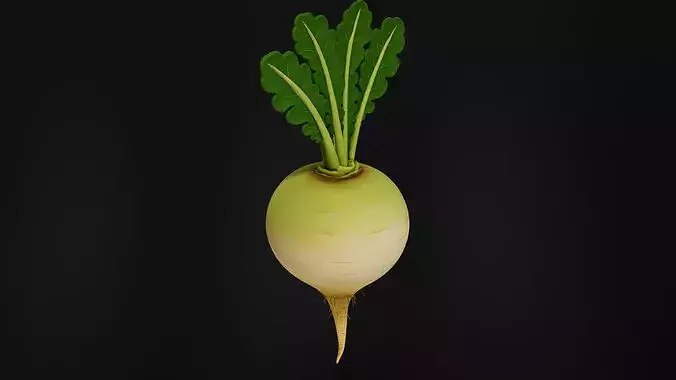 Food VegetablesTurnip 3D print model 3
