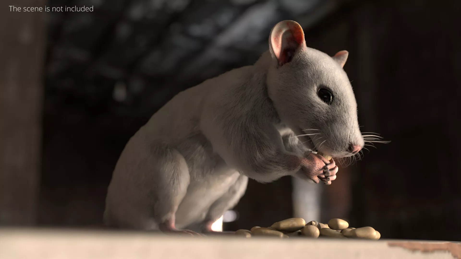 White Rat Fur Rigged For Blender Animated Set 3D model