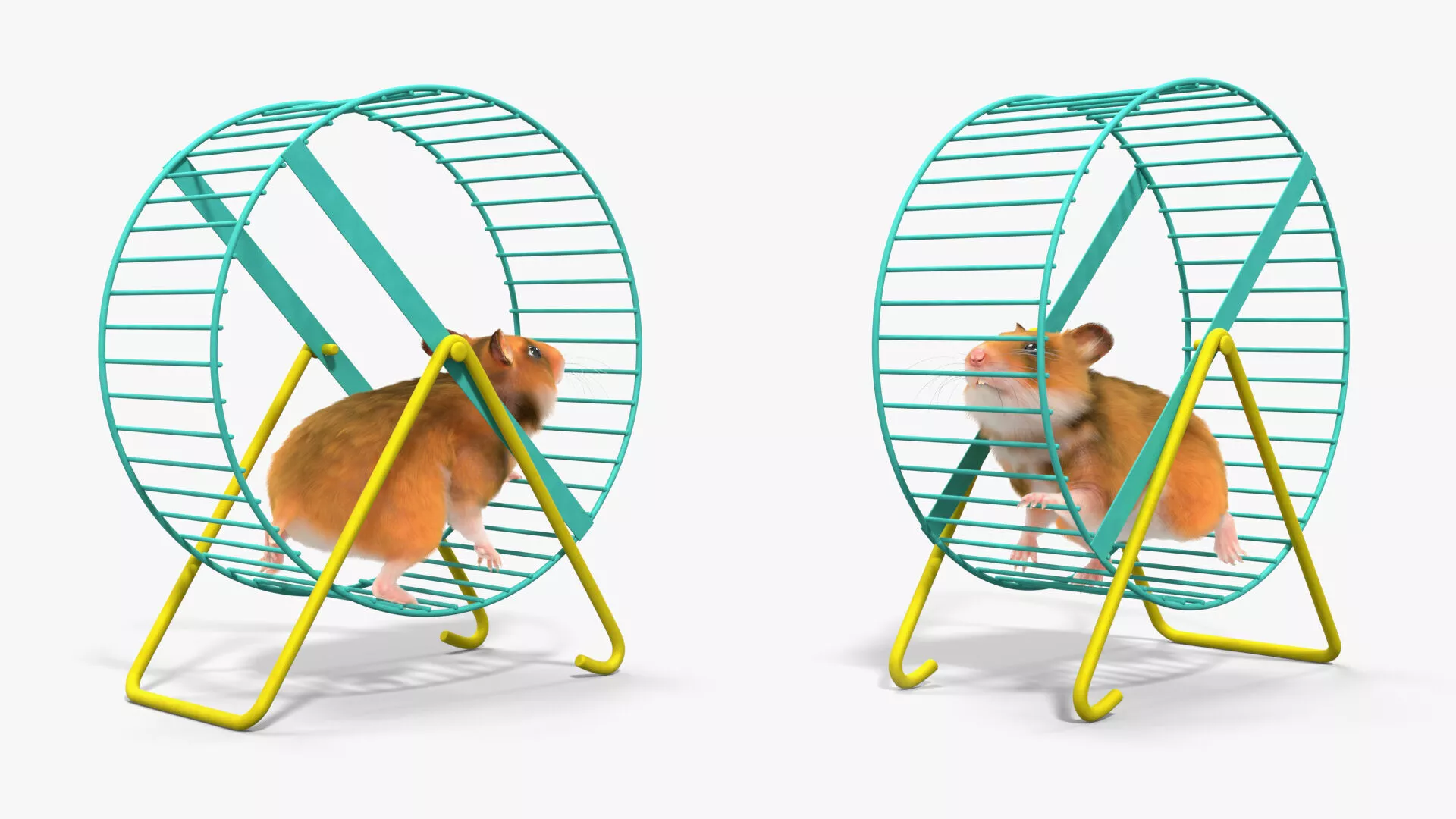 Golden Hamster Fur Rigged For Blender Animated Set 3D model