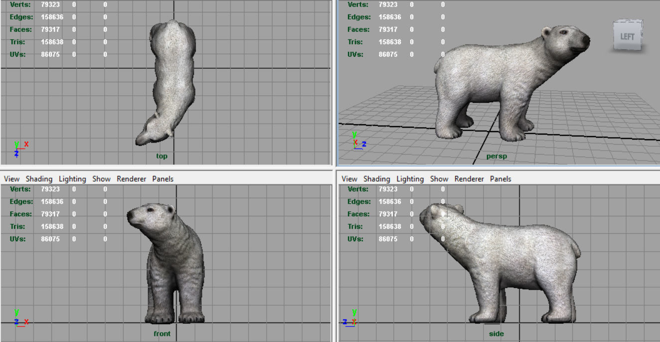Polar Bear 3D model_7