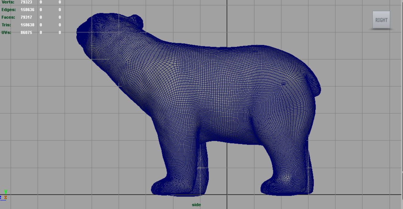 Polar Bear 3D model_12
