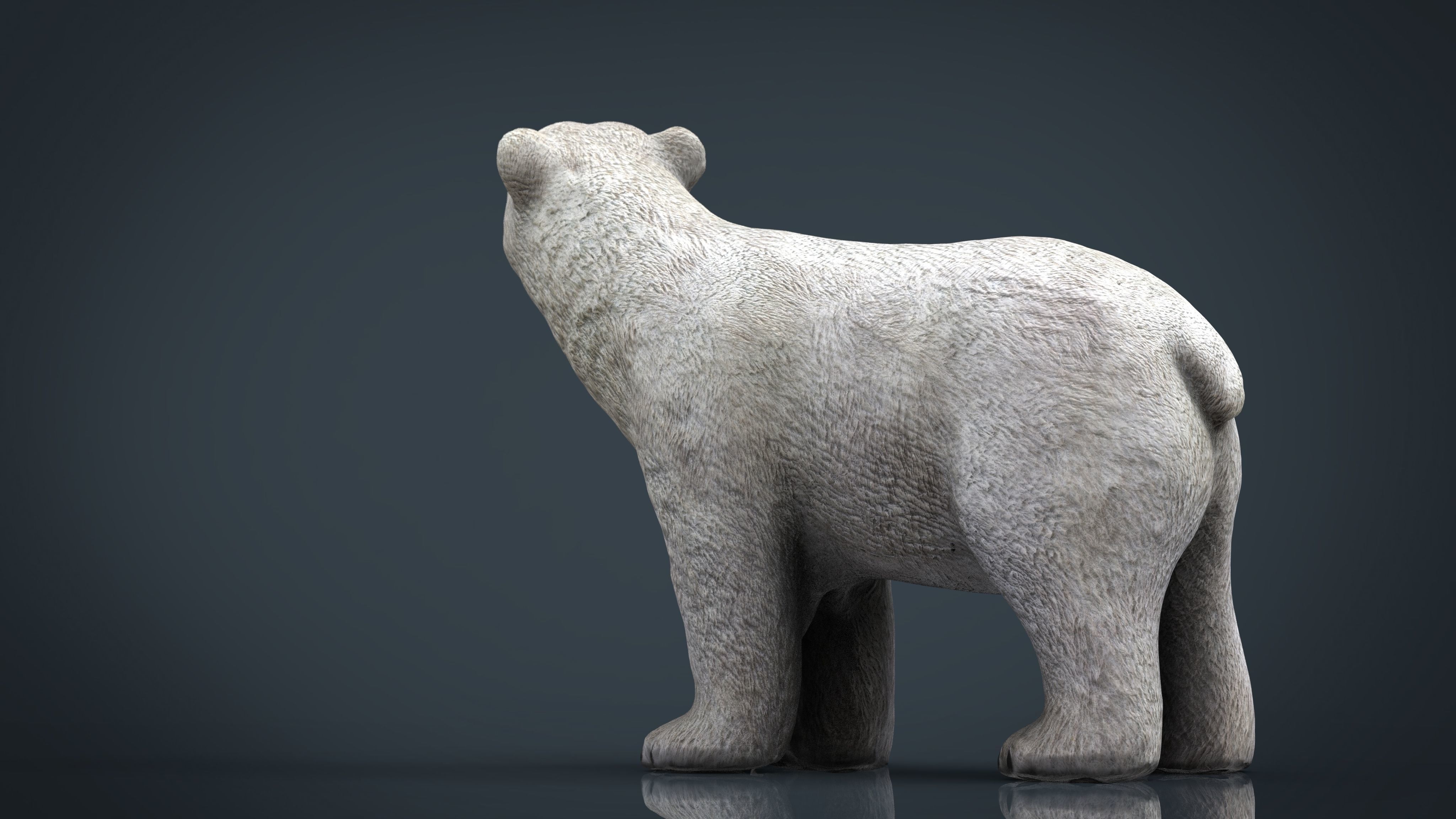 Polar Bear 3D model_9