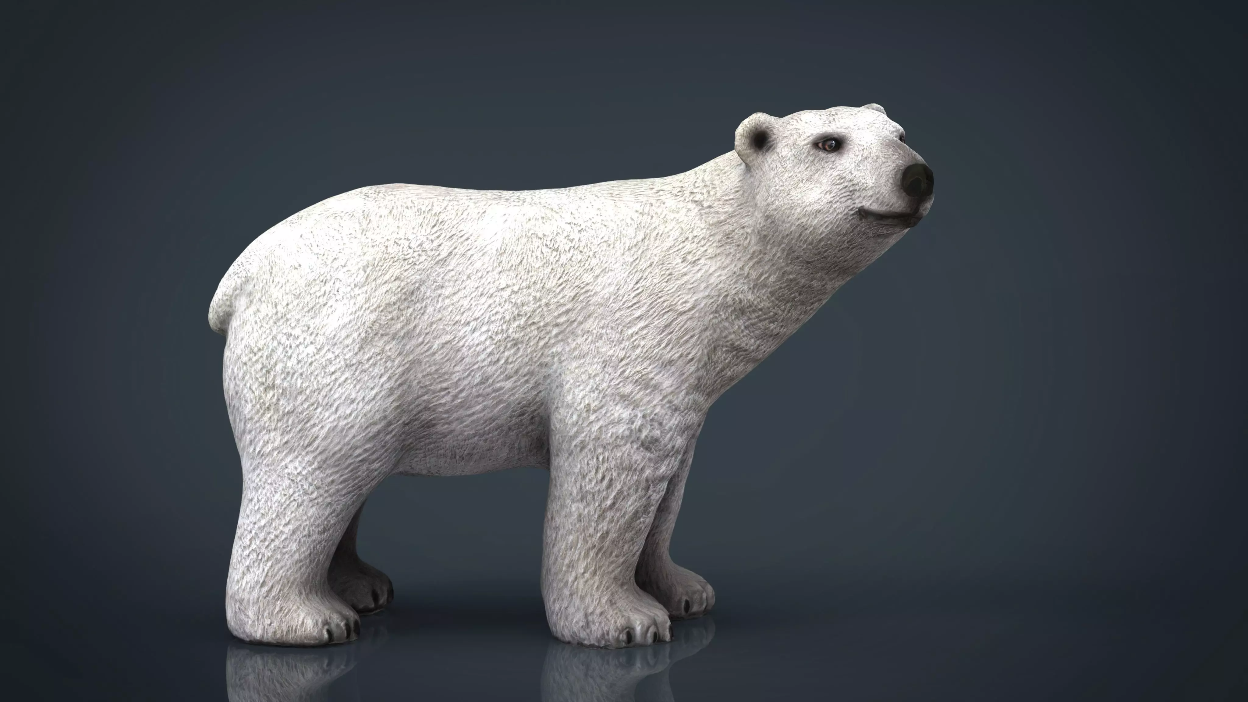 Polar Bear 3D model_0