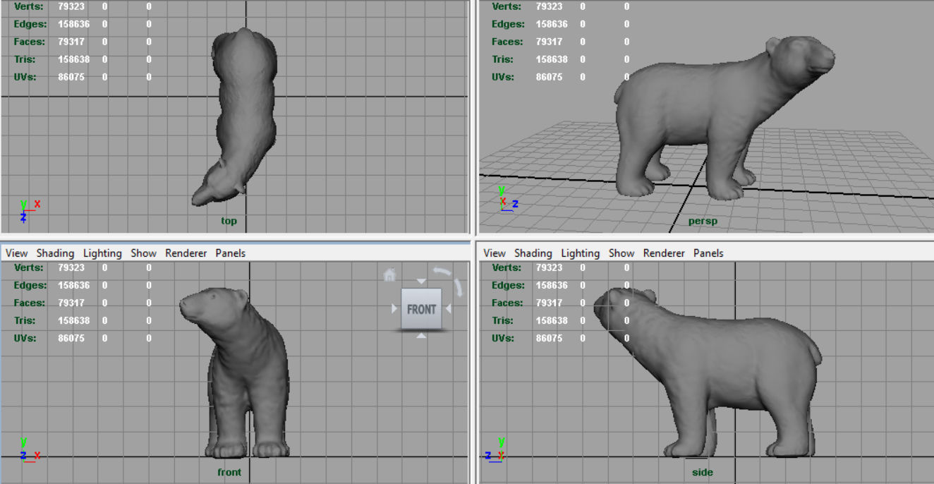 Polar Bear 3D model_6