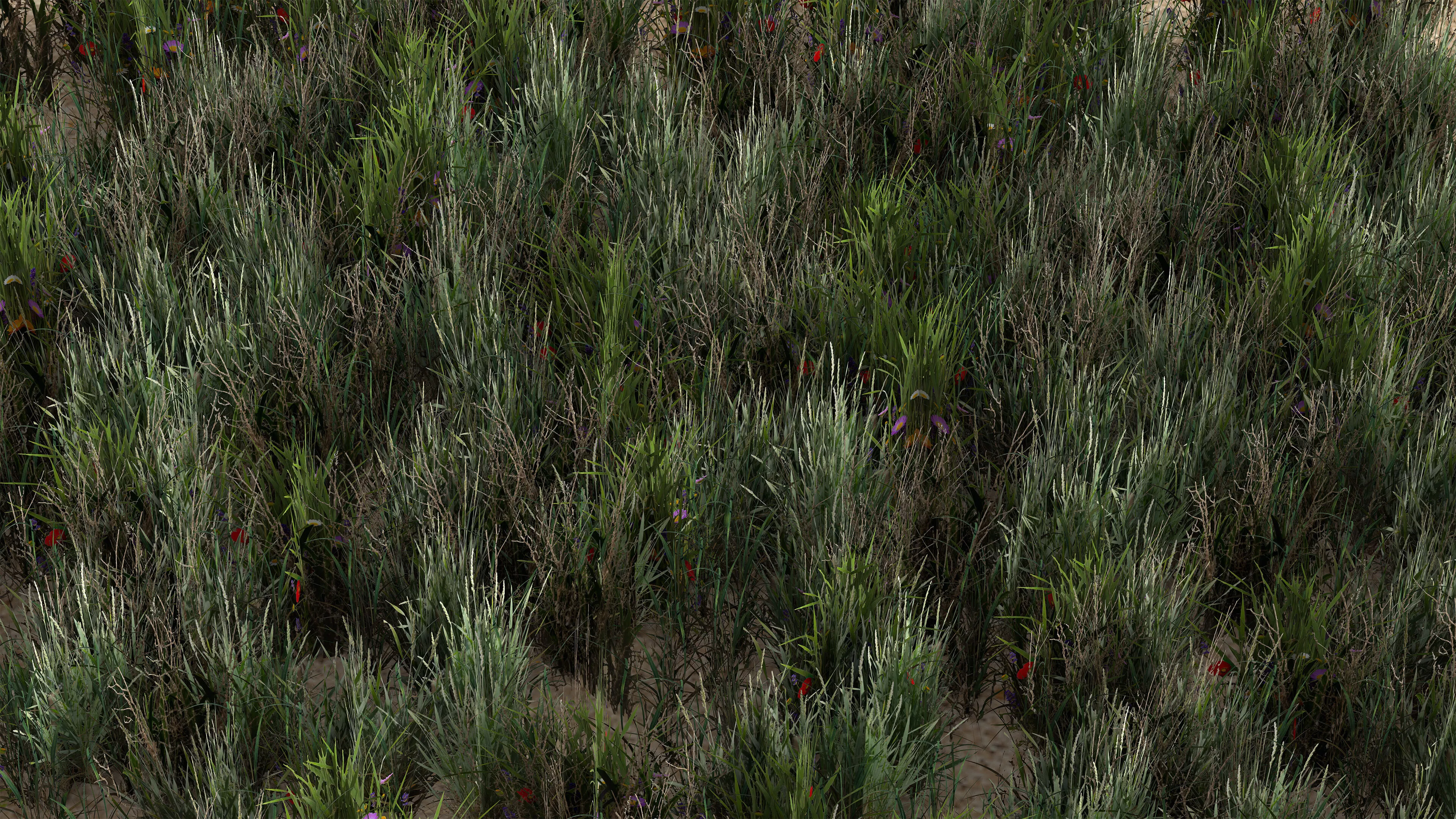 Low Poly Wild Grass Pack 5 Models Low-poly 3D model