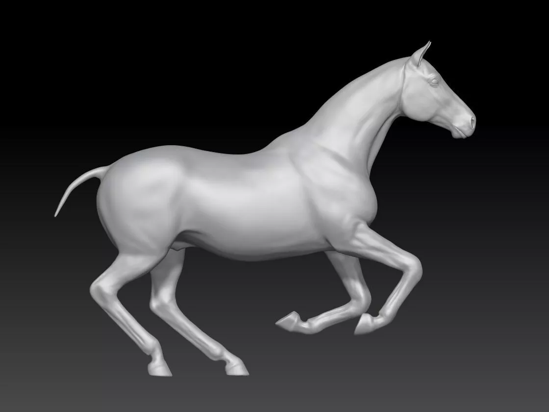 horse for hair grafting 3 3D print model