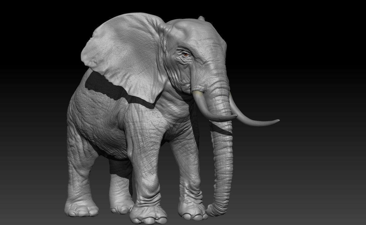 Realistic Elephant Hi-Rez with realistic skin  3D model_1