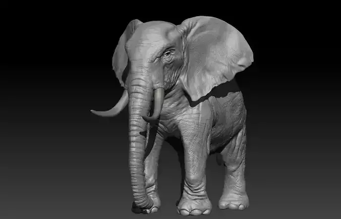 Realistic Elephant Hi-Rez with realistic skin  3D model