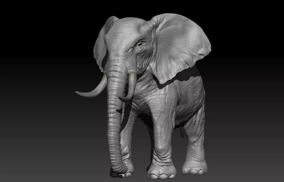 Realistic Elephant Hi-Rez with realistic skin  3D model_0