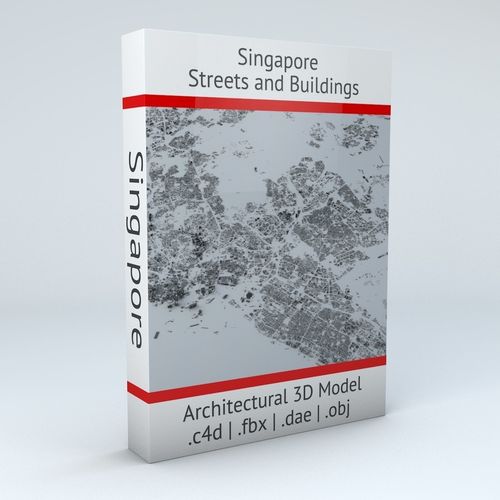 Singapore Streets and Buildings 3D model