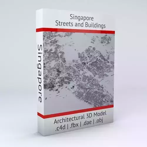 Singapore Streets and Buildings 3D model